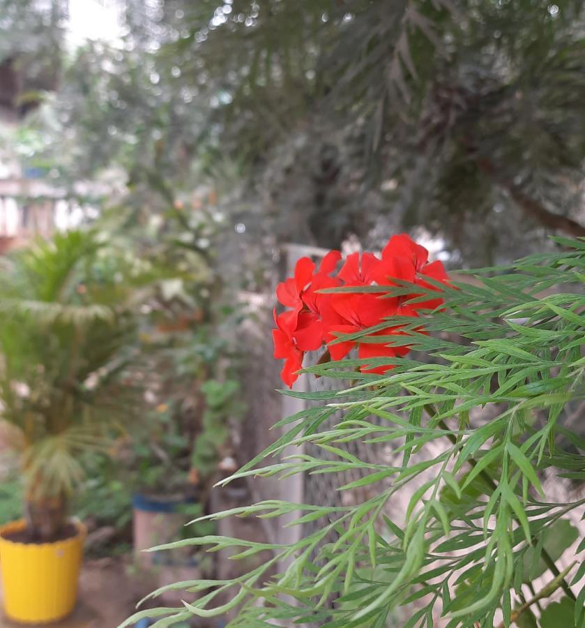 Trimurti Holiday Home Panchgani Dış mekan fotoğraf