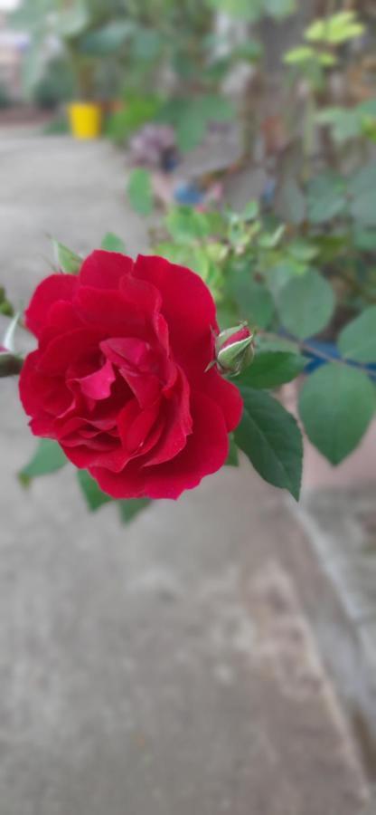 Trimurti Holiday Home Panchgani Dış mekan fotoğraf