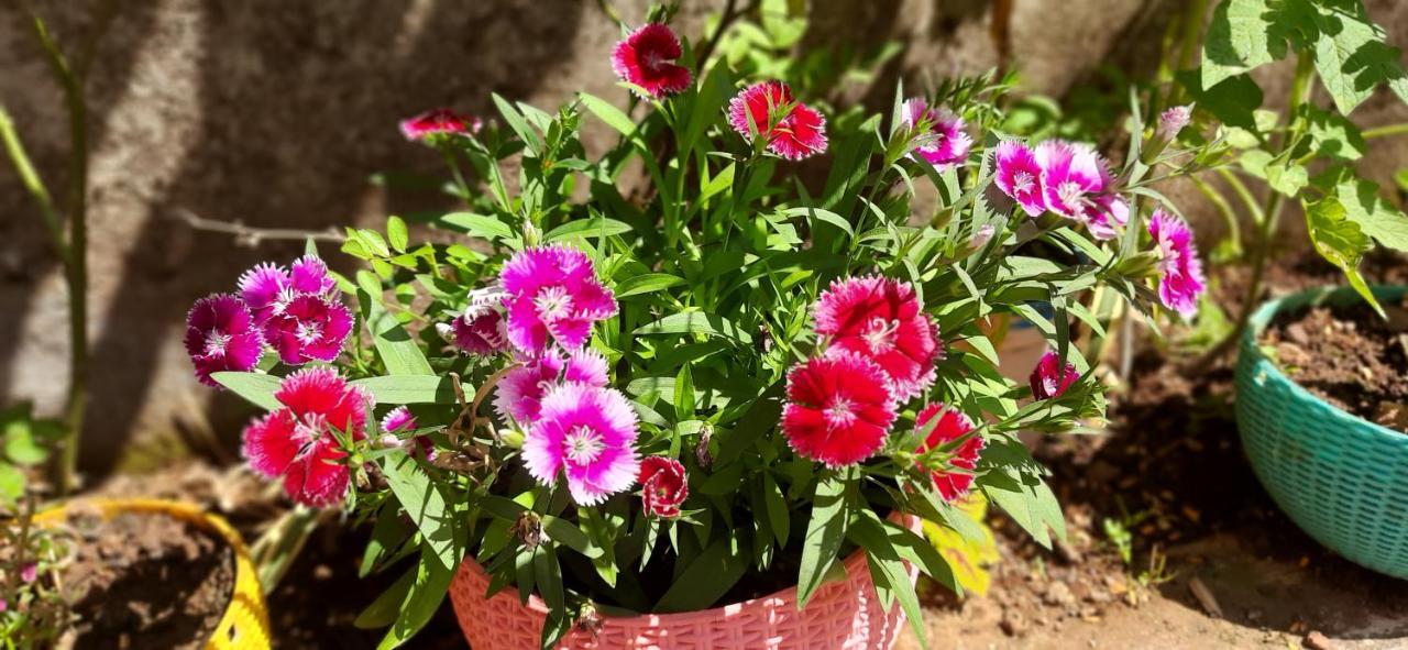 Trimurti Holiday Home Panchgani Dış mekan fotoğraf