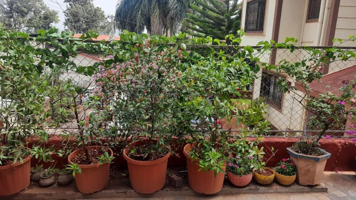 Trimurti Holiday Home Panchgani Dış mekan fotoğraf